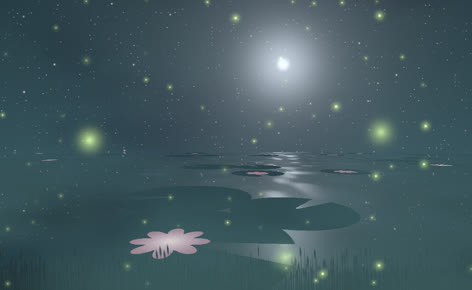 Lotus pond under the moon with fireflies